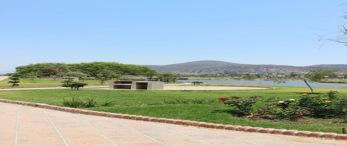 Foto de terreno comercial en venta en avenida 20 de noviembre 692, las torrecillas, ocotlán, jalisco, 24877827 No. 05