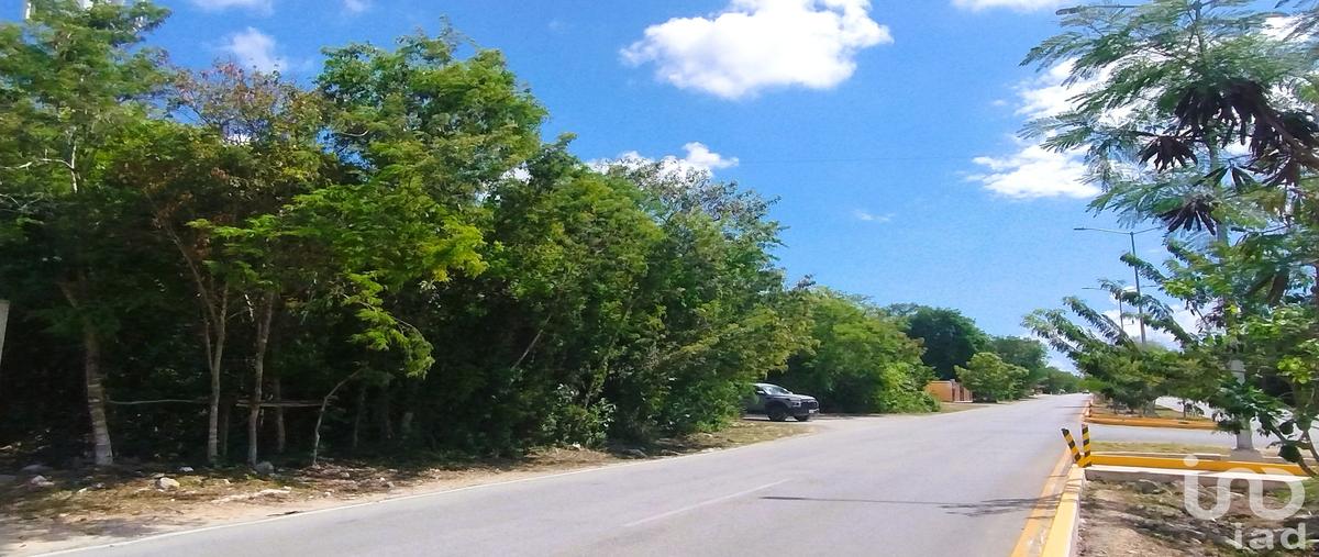 Foto de terreno comercial en venta en avenida 28 manzana 536 esquina calle río caliente. región 7 calle p. 77780. , tumben kaa, tulum, quintana roo, 31105348 No. 03