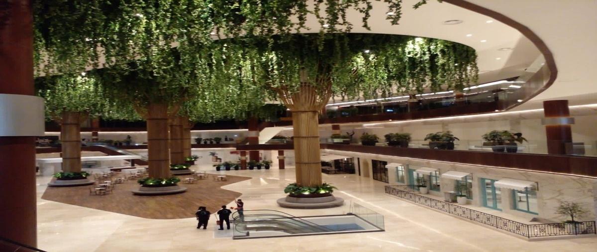 Foto de local en renta en avenida 32 , montebello, mérida, yucatán, 27821968 No. 03