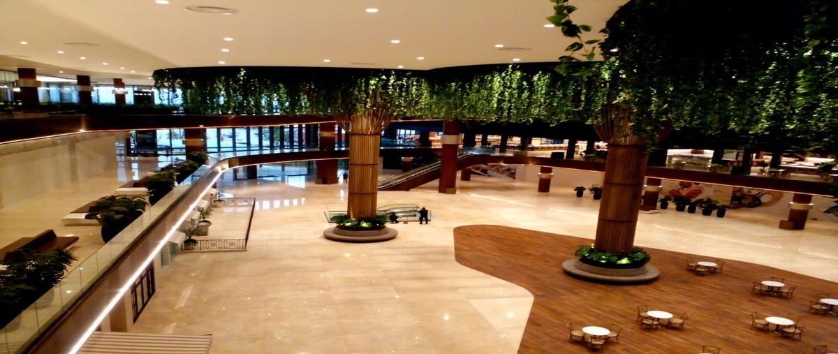 Foto de local en renta en avenida 32 , montebello, mérida, yucatán, 27821968 No. 05