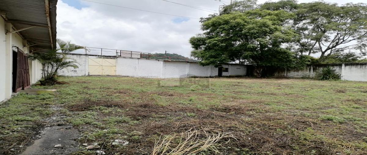 Foto de terreno comercial en venta en avenida 37 1, miraflores, córdoba, veracruz de ignacio de la llave, 29003310 No. 04