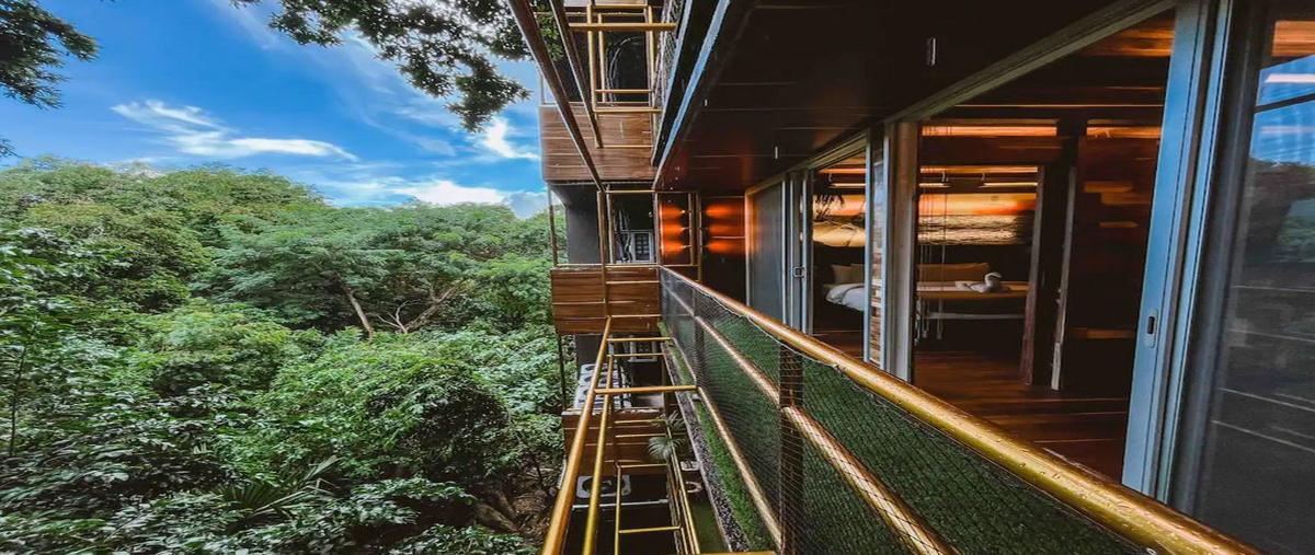 Foto de departamento en venta en avenida 38 y 5ta avenida , gonzalo guerrero, solidaridad, quintana roo, 25596133 No. 03