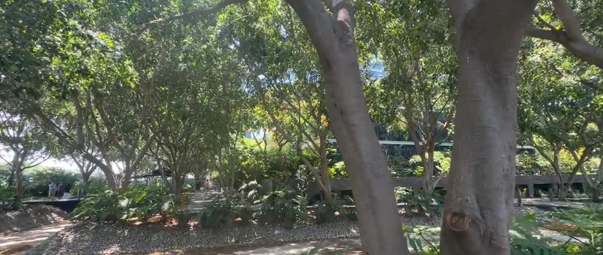 Foto de oficina en renta en avenida 5 de febrero , benito juárez, querétaro, querétaro, 31449130 No. 04