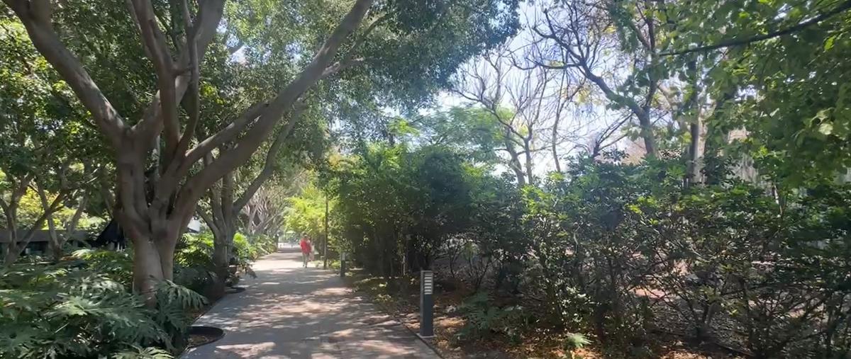 Foto de oficina en renta en avenida 5 de febrero , benito juárez, querétaro, querétaro, 31449130 No. 05