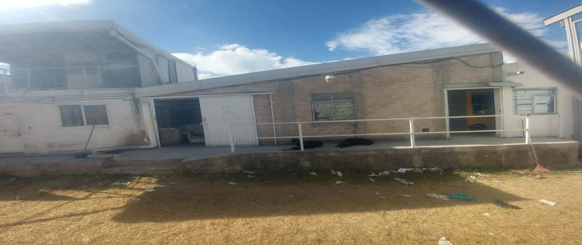 Foto de bodega en renta en avenida 5 de mayo 702, san juan de ocotan, zapopan, jalisco, 26141708 No. 02