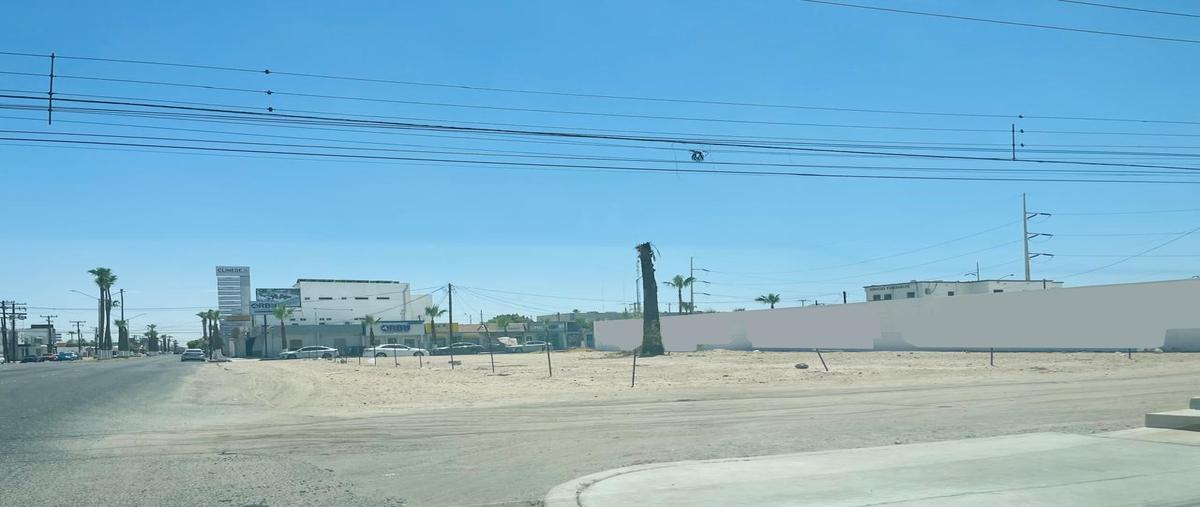 Foto de terreno comercial en renta en avenida 5 de mayo , comercial, san luis río colorado, sonora, 30317085 No. 03