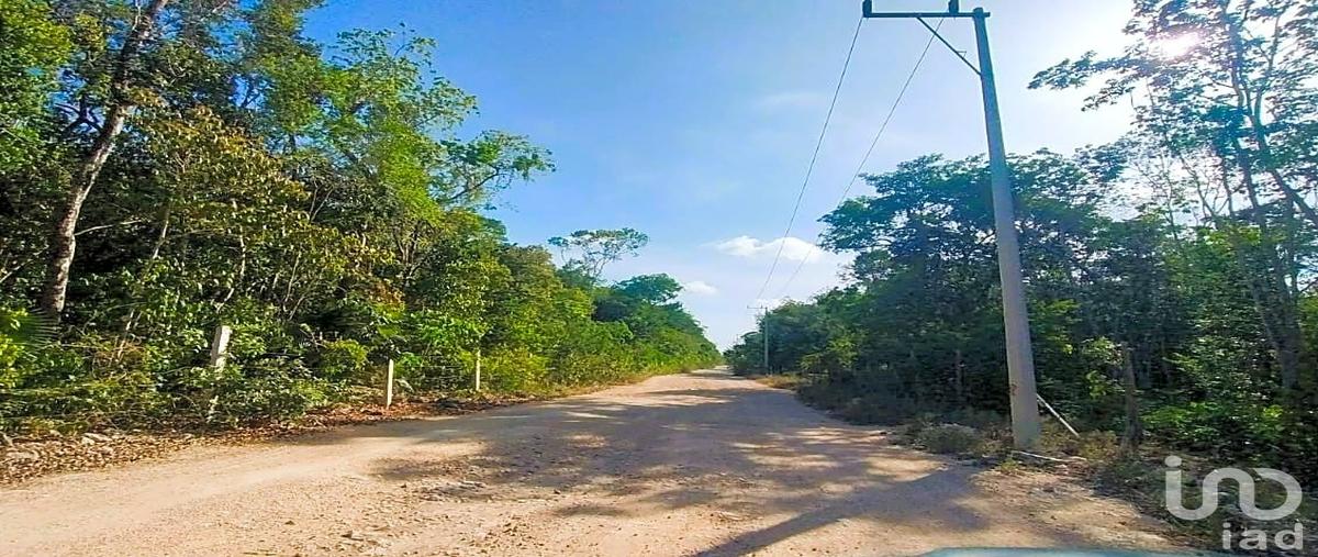 Foto de terreno habitacional en venta en avenida 57 sur región 8. tulum, quintana roo. , la veleta, tulum, quintana roo, 31443888 No. 05