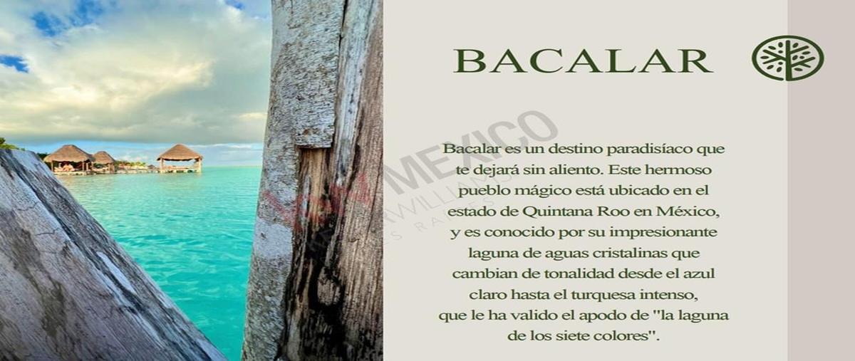 Foto de departamento en venta en avenida 9 , bacalar dos, bacalar, quintana roo, 26990807 No. 05