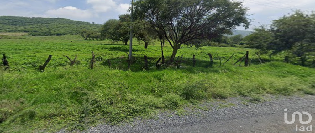 Foto de terreno industrial en venta en avenida acueducto , ixtlahuacan de los membrillos, ixtlahuacán de los membrillos, jalisco, 28720198 No. 03
