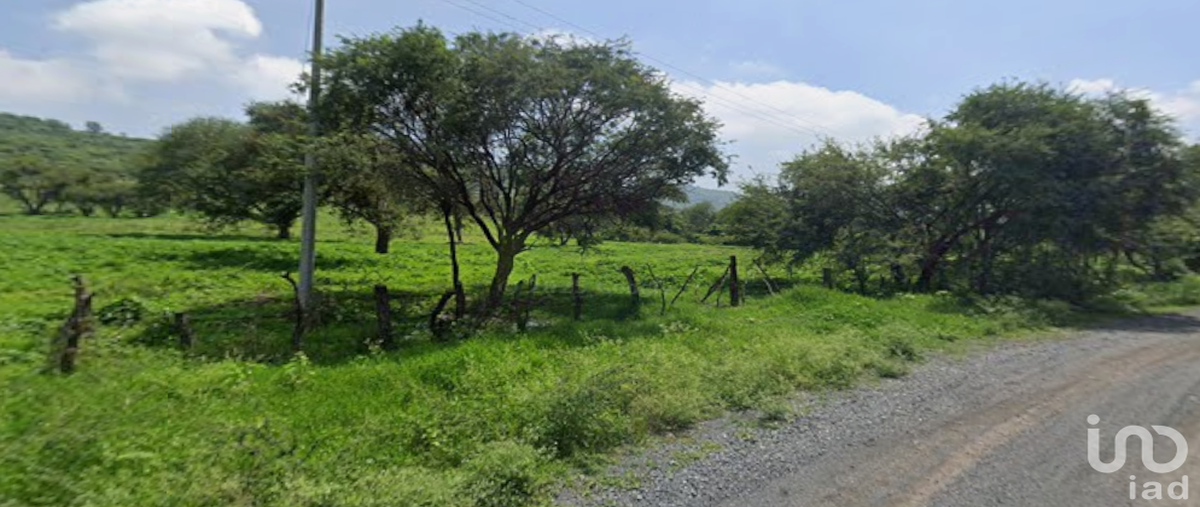Foto de terreno industrial en venta en avenida acueducto , ixtlahuacan de los membrillos, ixtlahuacán de los membrillos, jalisco, 28720198 No. 04