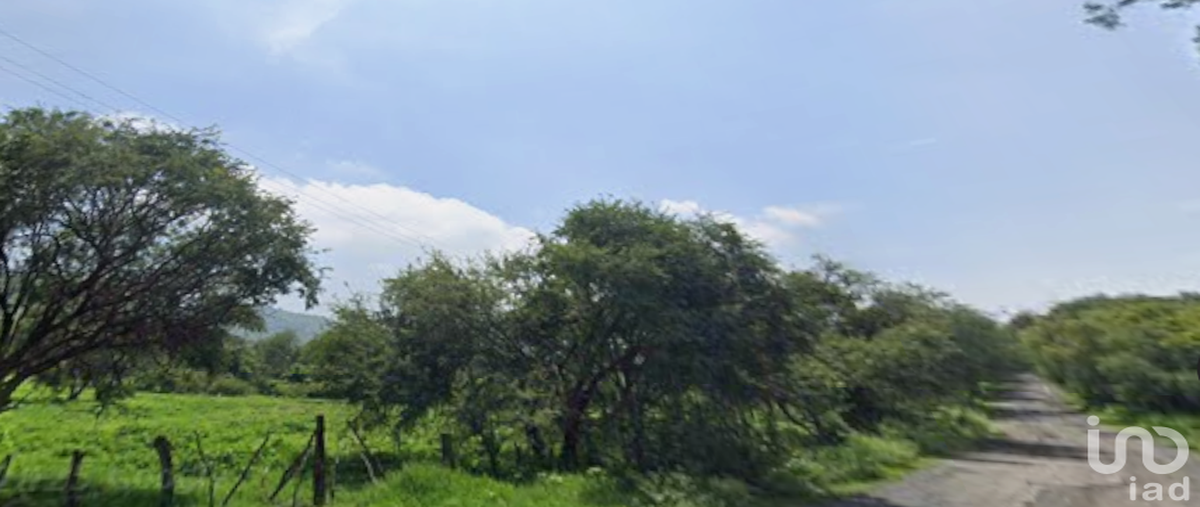 Foto de terreno industrial en venta en avenida acueducto , ixtlahuacan de los membrillos, ixtlahuacán de los membrillos, jalisco, 28720198 No. 05