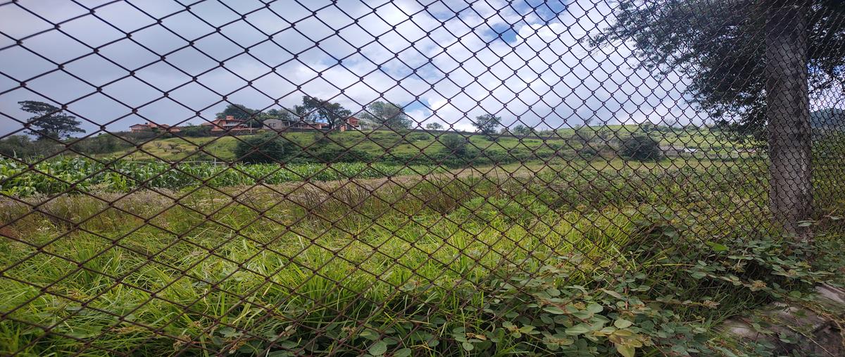 Foto de terreno habitacional en avenida adolfo lópez mateos , san agustín, texcaltitlán, méxico, 0 foto 05 Foto de terreno habitacional en venta en avenida adolfo lópez mateos , san agustín, texcaltitlán, méxico, 0 No. 05