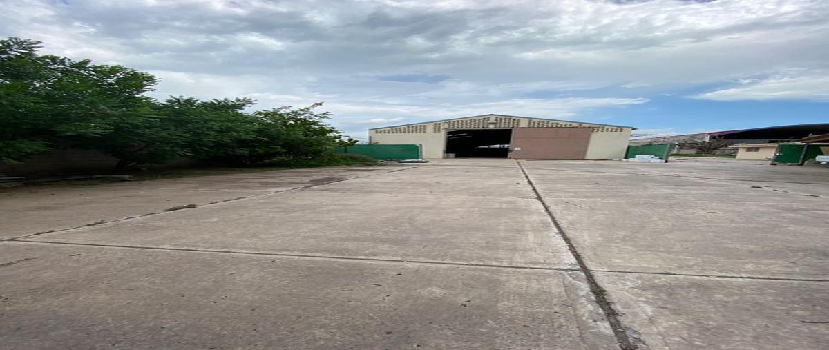 Foto de bodega en avenida aeropuerto , aguaruto centro, culiacán, sinaloa, 25257100 foto 03 Foto de bodega en venta en avenida aeropuerto , aguaruto centro, culiacán, sinaloa, 25257100 No. 03