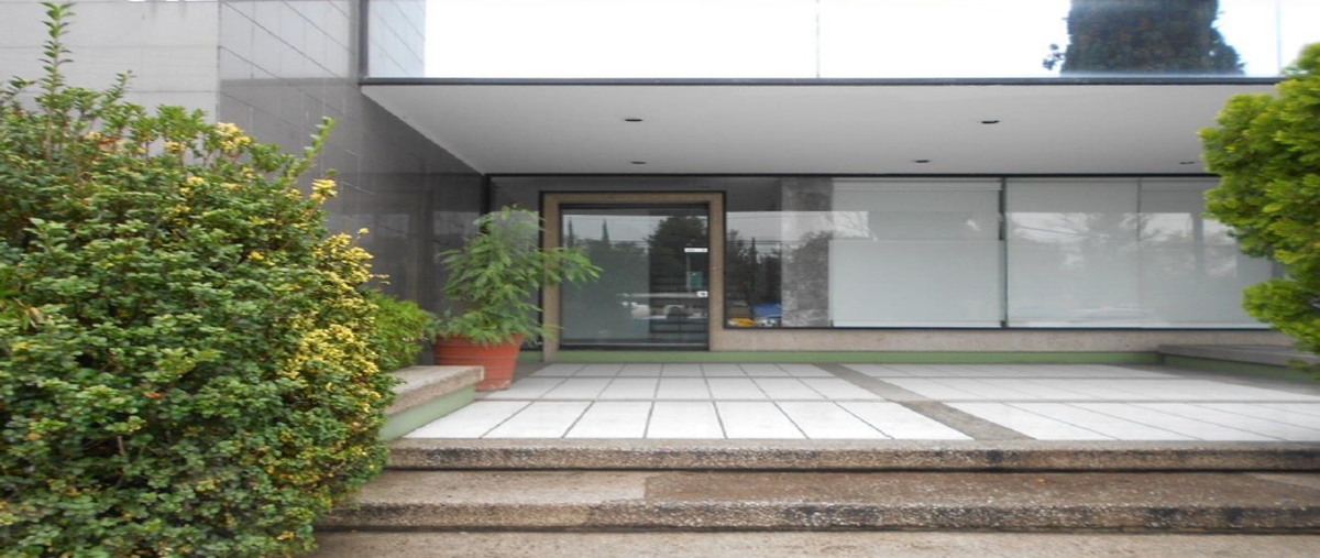 Foto de edificio en avenida aguascalientes , residencial pulgas pandas norte, aguascalientes, aguascalientes, 0 foto 02 Foto de edificio en renta en avenida aguascalientes , residencial pulgas pandas norte, aguascalientes, aguascalientes, 0 No. 02