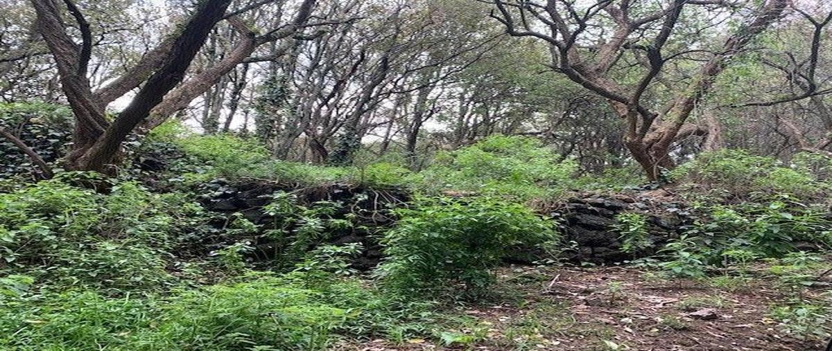 Foto de terreno habitacional en avenida aire puro "apio y perejil" , tlalpuente, tlalpan, df / cdmx, 24165143 foto 02 Foto de terreno habitacional en venta en avenida aire puro "apio y perejil" , tlalpuente, tlalpan, df / cdmx, 24165143 No. 02