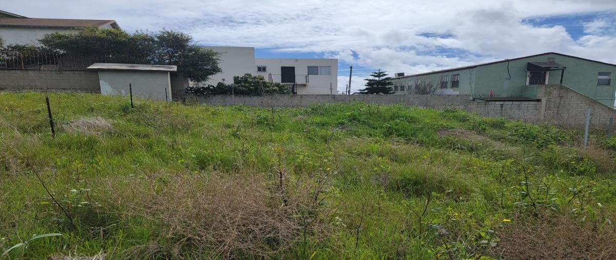 Foto de terreno habitacional en venta en avenida alameda , lomas de rosarito, playas de rosarito, baja california, 28192455 No. 05