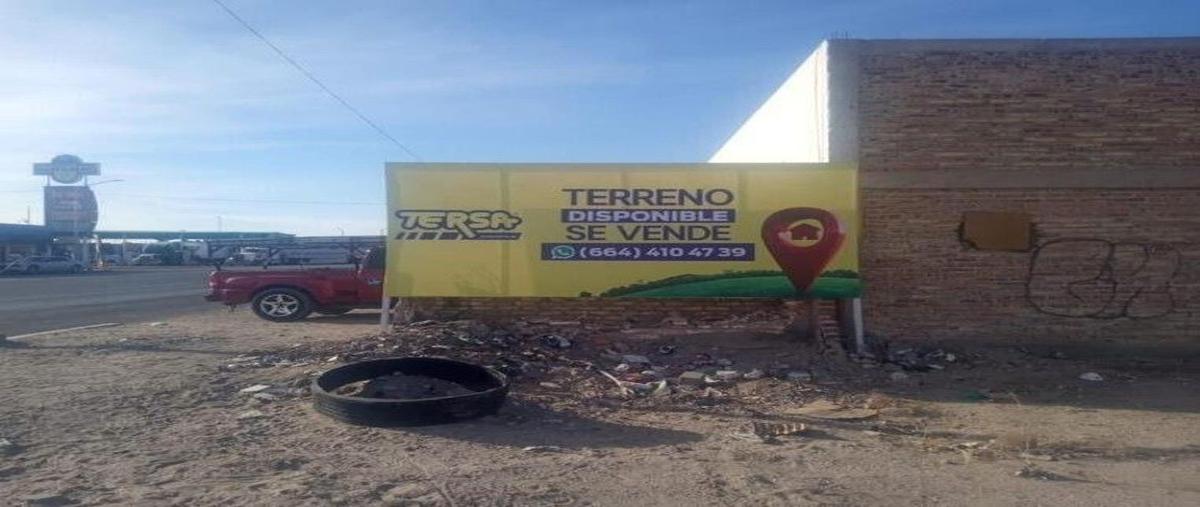 Foto de terreno comercial en venta en avenida alvaro obregon , burócrata, san luis río colorado, sonora, 29462085 No. 02