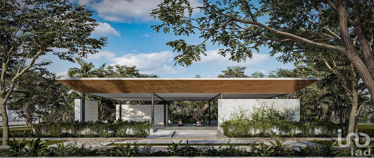 Foto de terreno habitacional en venta en avenida andrÃ©s garcÃ­a lavÃ­n 264, san ramon norte, mÃ©rida, yucatÃ¡n, 31571683 No. 04