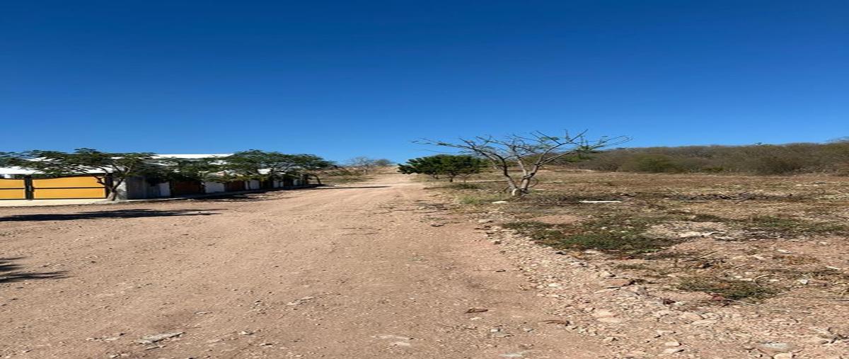 Foto de terreno habitacional en avenida angus 290 sur, campo el toro, culiacán, sinaloa, 27718480 foto 04 Foto de terreno habitacional en venta en avenida angus 290 sur, campo el toro, culiacán, sinaloa, 27718480 No. 04