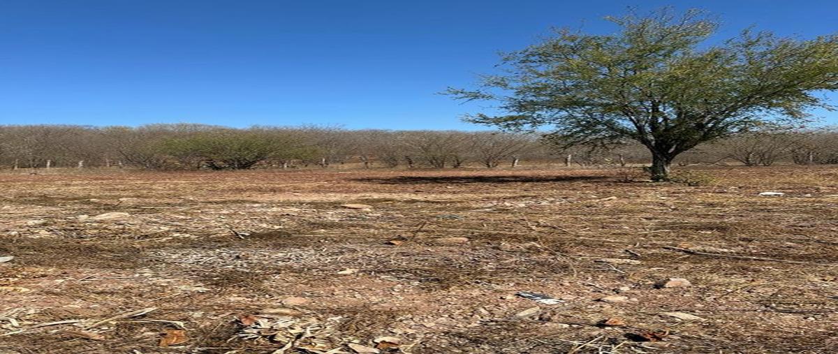 Foto de terreno habitacional en venta en avenida angus 290 sur, campo el toro, culiacán, sinaloa, 0 No. 03