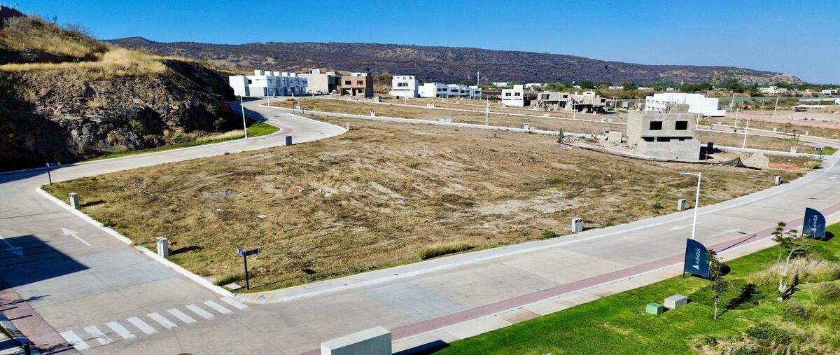 Foto de terreno habitacional en venta en avenida arbolada bosques de santa anita , arboleda bosques de santa anita, tlajomulco de zúñiga, jalisco, 29483189 No. 04