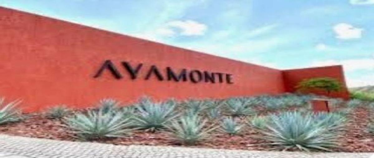 Foto de terreno habitacional en venta en avenida ayamonte , exitmex, zapopan, jalisco, 0 No. 03