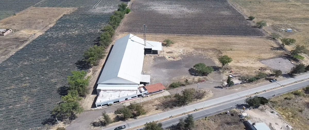 Foto de nave industrial en renta en avenida benito juarez , san martín de zula, ocotlán, jalisco, 25922004 No. 04