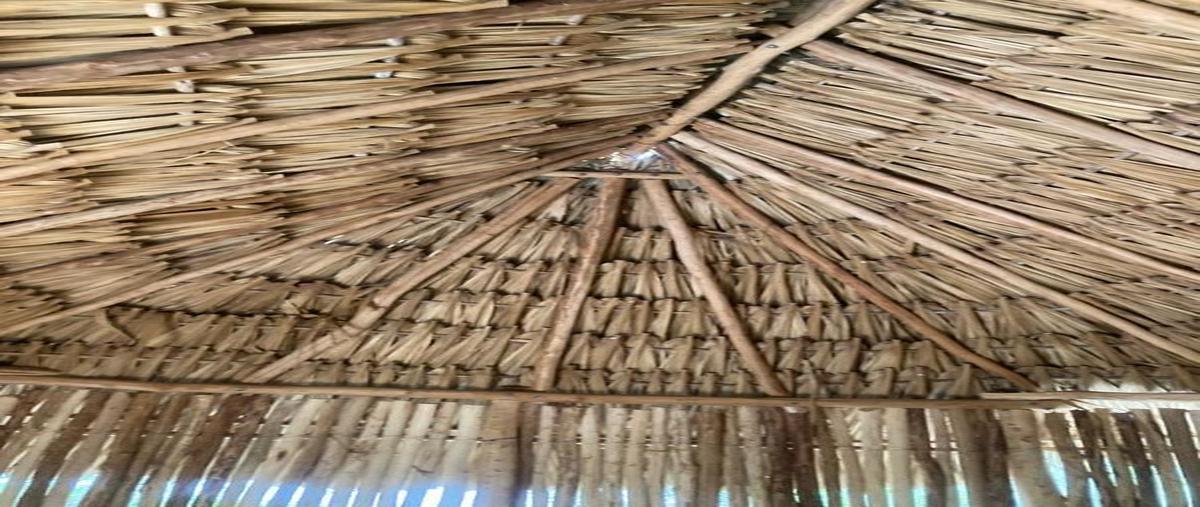 Foto de terreno habitacional en venta en avenida bonampak sm3, chichimila, chichimilá, yucatán, 26568147 No. 03