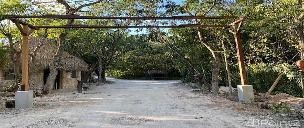 Foto de terreno habitacional en avenida bosques de cristo rey , la guadalupana, benito juárez, quintana roo, 27568659 foto 02 Foto de terreno habitacional en venta en avenida bosques de cristo rey , la guadalupana, benito juárez, quintana roo, 27568659 No. 02