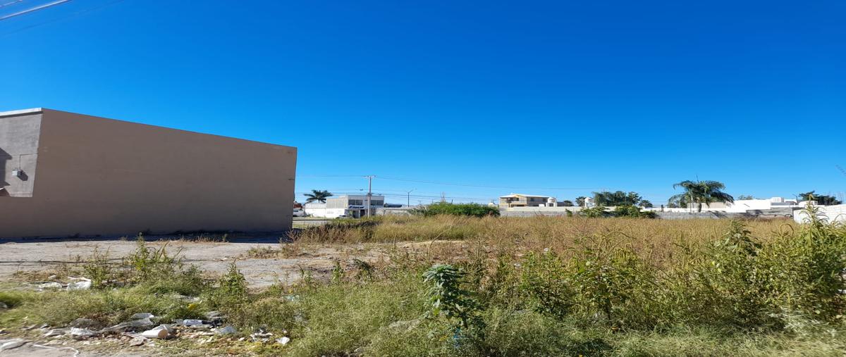 Foto de terreno comercial en renta en avenida bromo y avenida obsidiana , loma real, torreón, coahuila de zaragoza, 25685702 No. 03