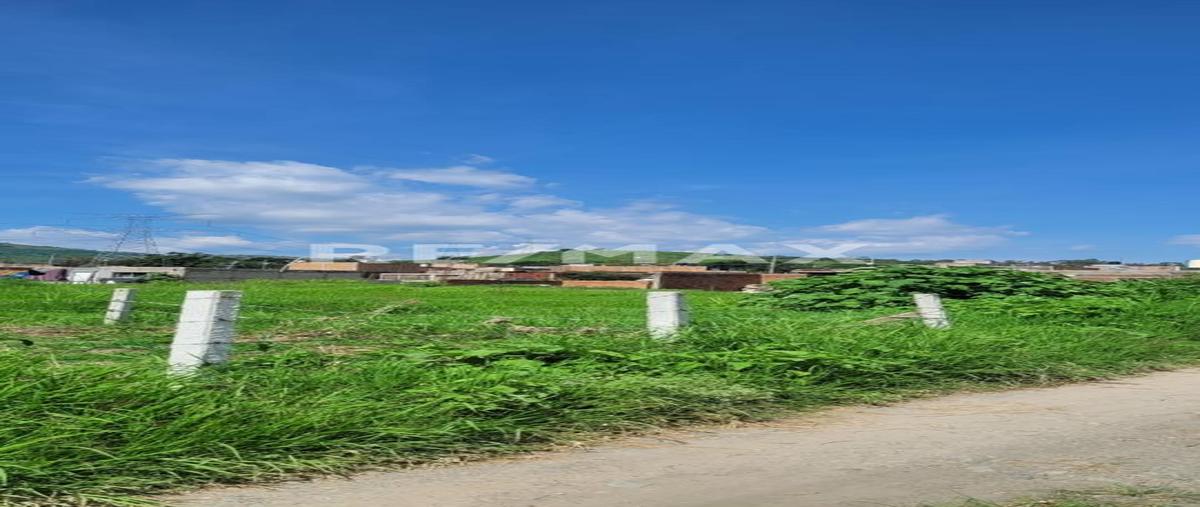 Foto de terreno habitacional en avenida bugambilias , santa lucia, zapopan, jalisco, 28442821 foto 02 Foto de terreno habitacional en venta en avenida bugambilias , santa lucia, zapopan, jalisco, 28442821 No. 02