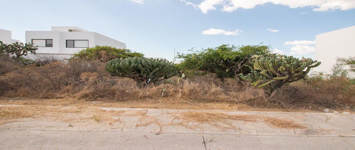 Foto de terreno habitacional en venta en avenida cactus , zibatá, el marqués, querétaro, 0 No. 05