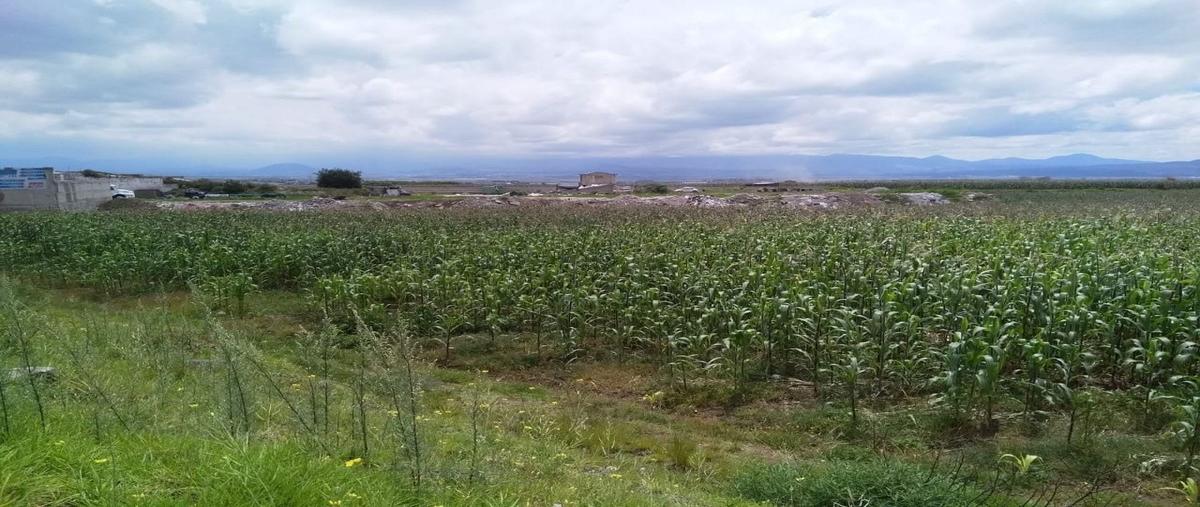 Foto de terreno habitacional en avenida , calimaya de diaz gonzález, calimaya, méxico, 6911915 foto 05 Foto de terreno habitacional en venta en avenida , calimaya de diaz gonzález, calimaya, méxico, 6911915 No. 05