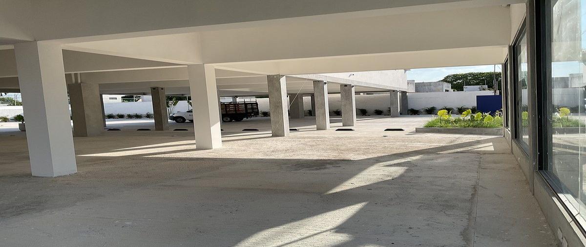 Foto de local en renta en avenida .camara de comercio , villas la hacienda, mérida, yucatán, 0 No. 05