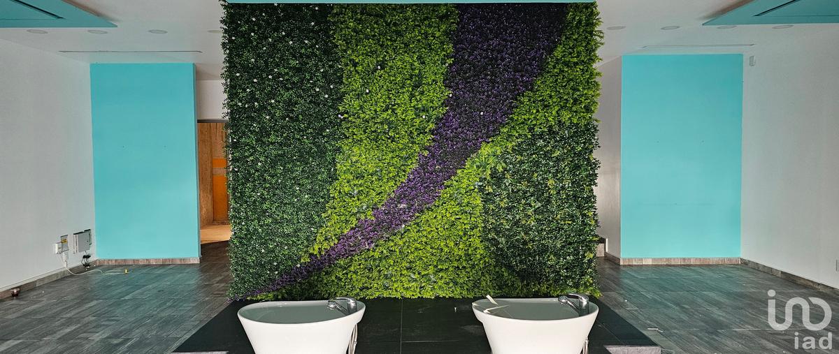 Foto de local en renta en avenida camarón sábalo 588, zona dorada, mazatlán, sinaloa, 29992460 No. 03