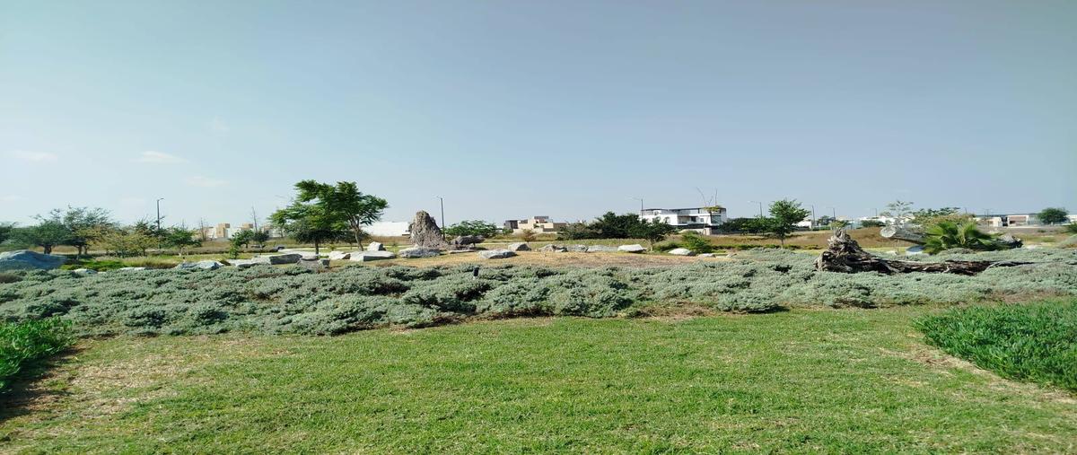 Foto de terreno habitacional en venta en avenida camino a vanegas , carlota hacienda vanegas, corregidora, querétaro, 30081612 No. 04