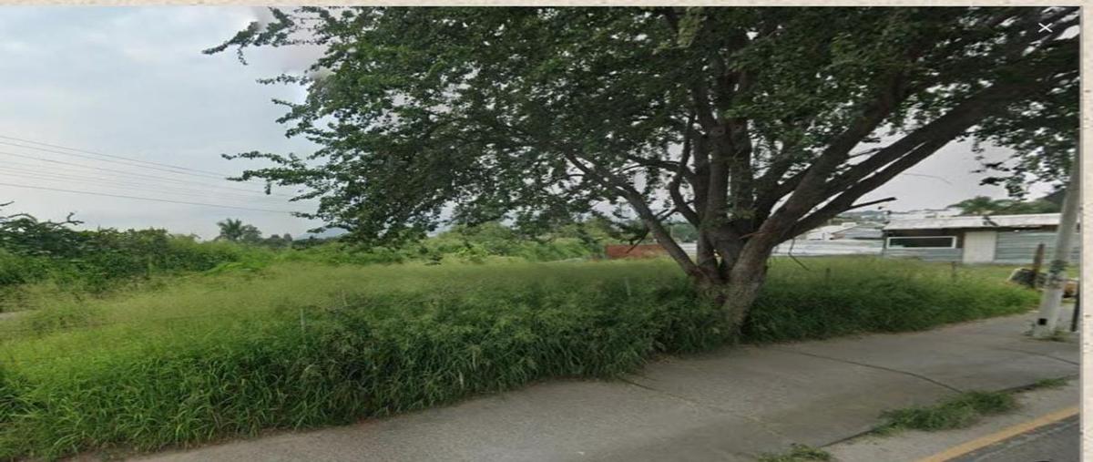 Foto de terreno comercial en renta en avenida camino real a colima 300, hacienda del oro, tlajomulco de zúñiga, jalisco, 0 No. 04