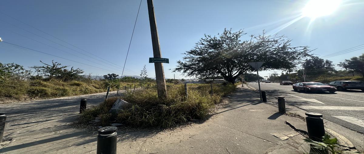 Foto de terreno comercial en avenida camino real a colima , san agustin, tlajomulco de zúñiga, jalisco, 27738460 foto 03 Foto de terreno comercial en renta en avenida camino real a colima , san agustin, tlajomulco de zúñiga, jalisco, 27738460 No. 03