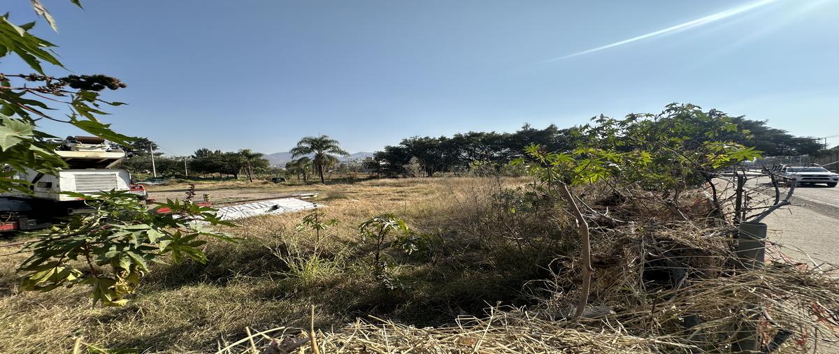 Foto de terreno comercial en avenida camino real a colima , san agustin, tlajomulco de zúñiga, jalisco, 27738460 foto 06 Foto de terreno comercial en renta en avenida camino real a colima , san agustin, tlajomulco de zúñiga, jalisco, 27738460 No. 06
