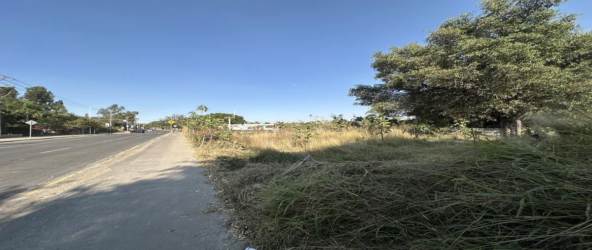 Foto de terreno comercial en avenida camino real a colima , san agustin, tlajomulco de zúñiga, jalisco, 27738460 foto 07 Foto de terreno comercial en renta en avenida camino real a colima , san agustin, tlajomulco de zúñiga, jalisco, 27738460 No. 07