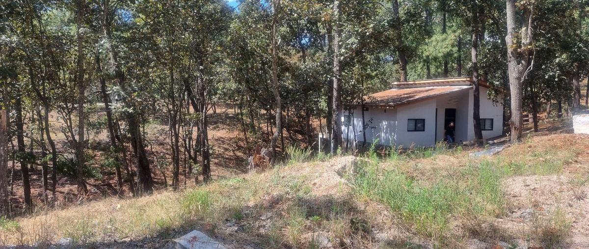 Foto de terreno habitacional en venta en avenida camino real , mazamitla, mazamitla, jalisco, 29312646 No. 03