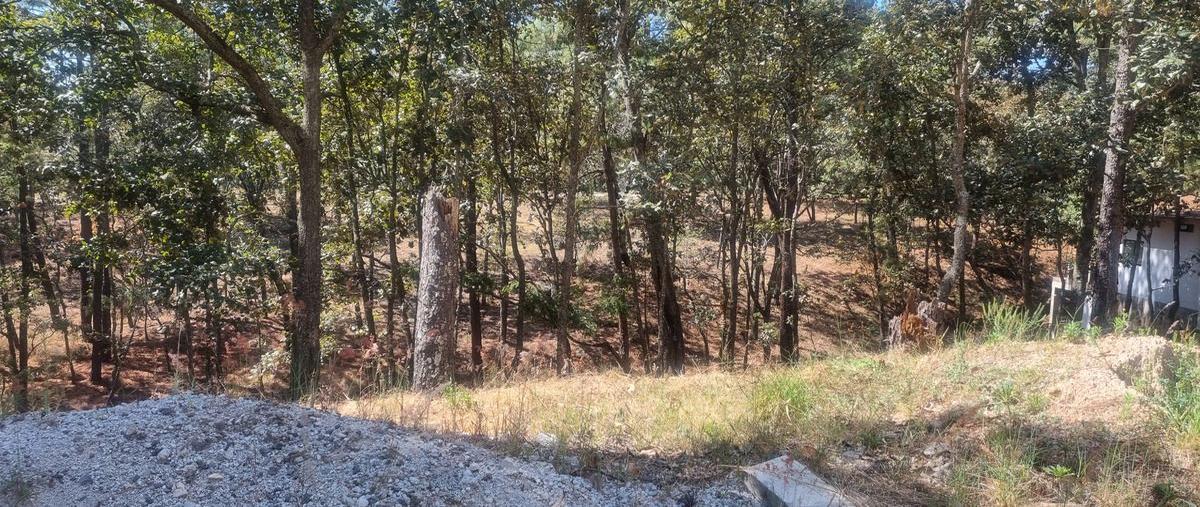 Foto de terreno habitacional en venta en avenida camino real , mazamitla, mazamitla, jalisco, 29312646 No. 05