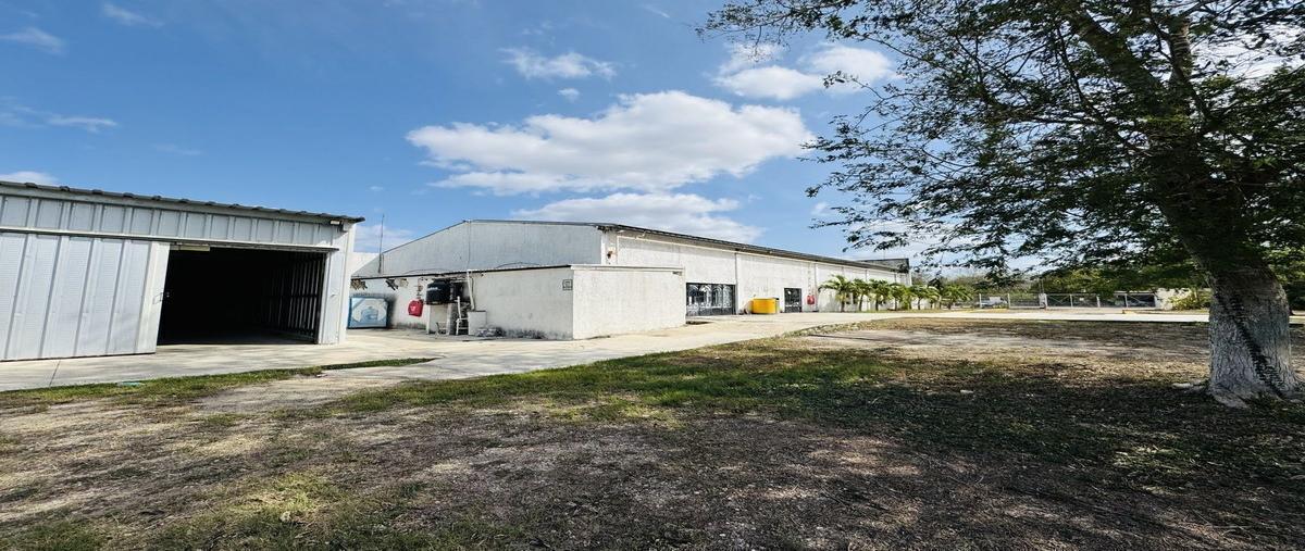 Foto de nave industrial en renta en avenida , centro hunucmá, hunucmá, yucatán, 0 No. 03