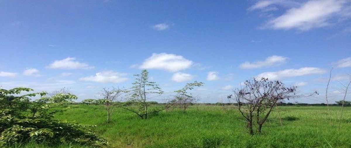 Foto de rancho en venta en  , avenida, champotón, campeche, 30147638 No. 03