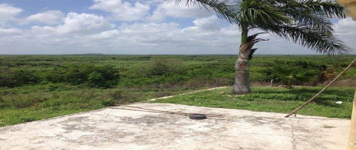 Foto de rancho en venta en  , avenida, champotón, campeche, 30147638 No. 04