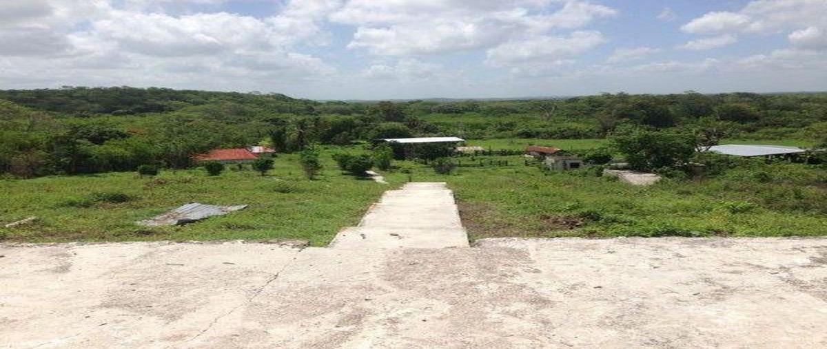 Foto de rancho en venta en  , avenida, champotón, campeche, 30147638 No. 05