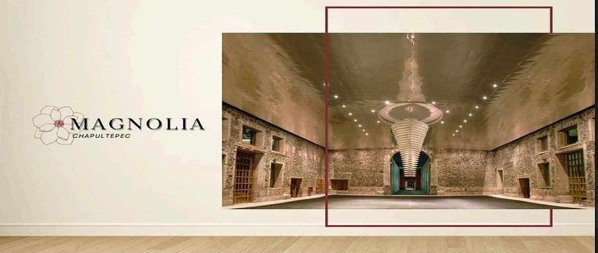 Foto de departamento en venta en avenida chapultepec , cuauhtémoc, cuauhtémoc, df / cdmx, 0 No. 03