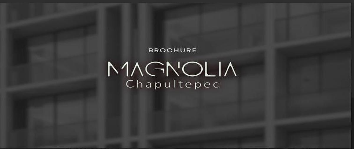 Foto de departamento en venta en avenida chapultepec , cuauhtémoc, cuauhtémoc, df / cdmx, 0 No. 04