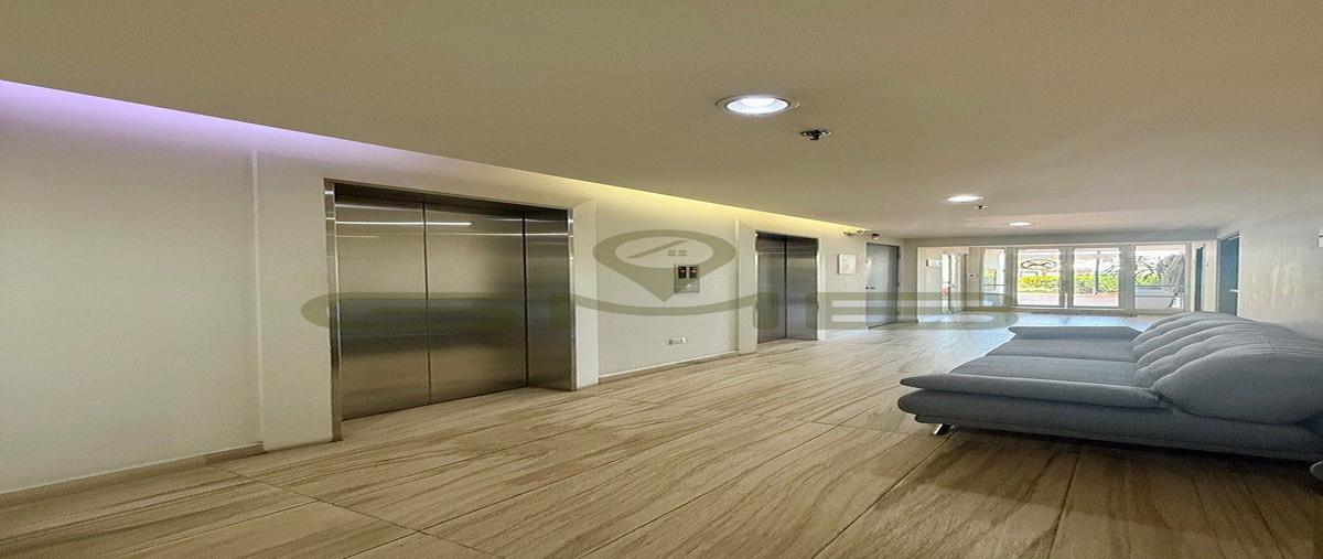 Foto de departamento en avenida chapultepec sur , americana, guadalajara, jalisco, 30694660 foto 05 Foto de departamento en venta en avenida chapultepec sur , americana, guadalajara, jalisco, 30694660 No. 05