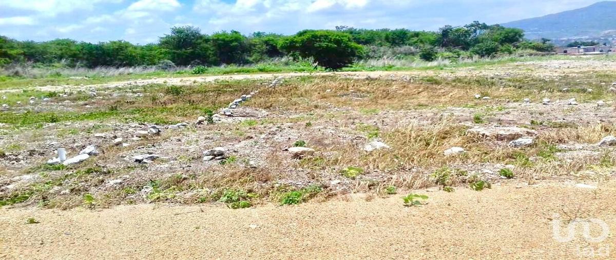 Foto de terreno habitacional en avenida chiflon lote 65 137, plan de ayala, tuxtla gutiérrez, chiapas, 30039938 foto 02 Foto de terreno habitacional en venta en avenida chiflon lote 65 137, plan de ayala, tuxtla gutiérrez, chiapas, 30039938 No. 02